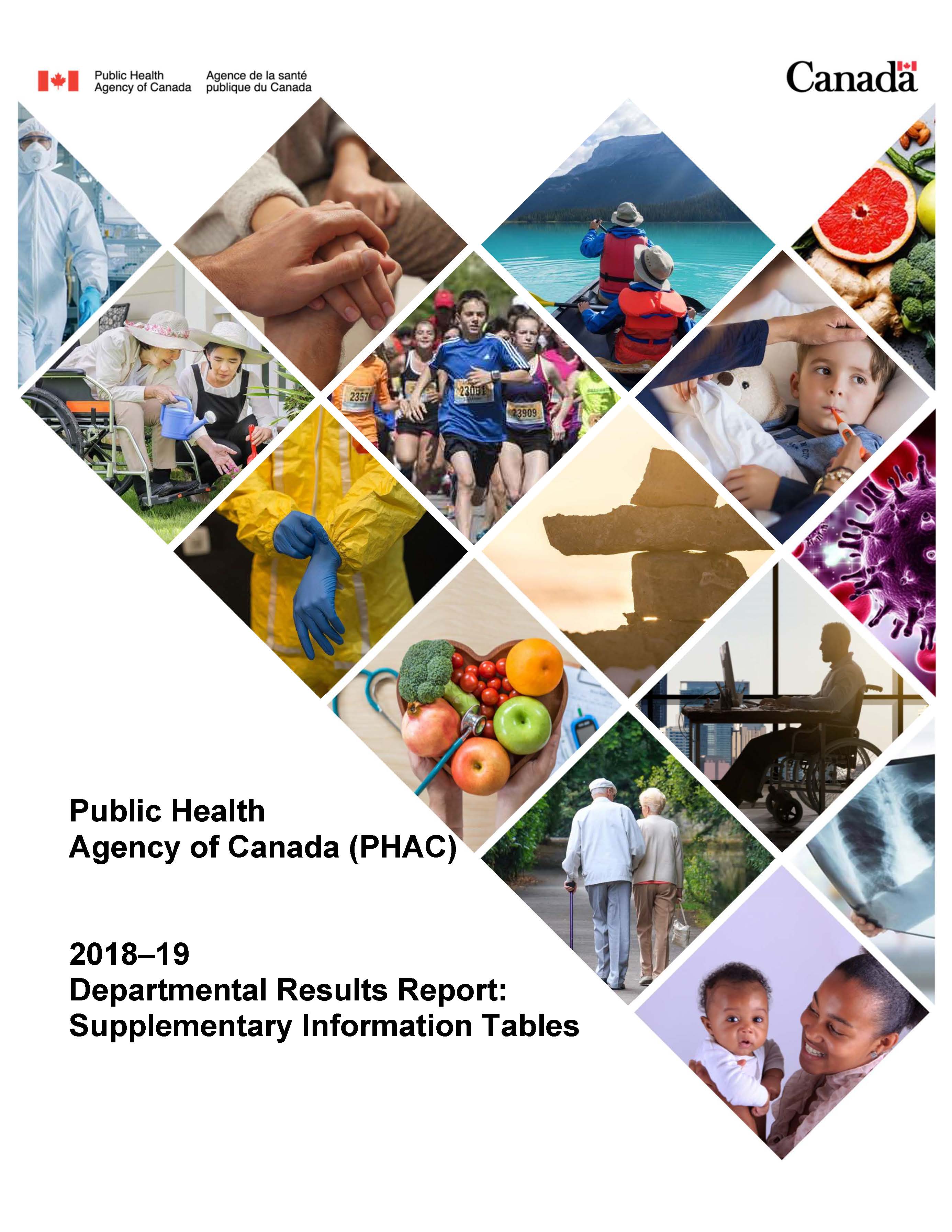 Public Health Agency of Canada (PHAC) 2018-19 Departmental results report: Supplementary information tables