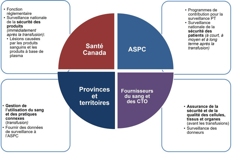Figure 1 : Intervenants du système de transfusion et de transplantation au Canada