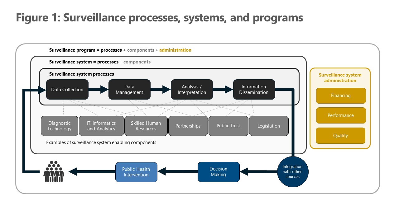 Figure 1: Surveillance processes, systems, and programs