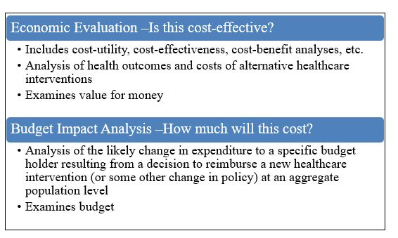 Figure 1. Two types of economic evidence commonly used in decision-making. Text description follows.