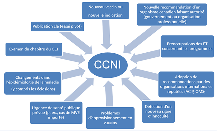 Figure 2. Facteurs qui déterminent le plan de travail du CCNI. Équivalent textuel ci-dessous.
