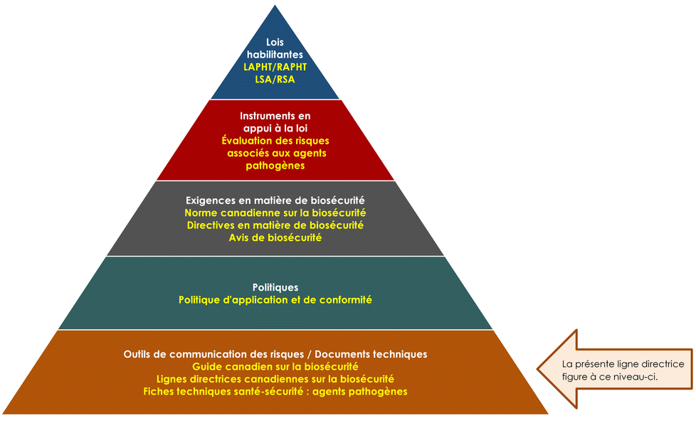 Figure 1: La hiérarchie des documents en matière de biosécurité et de biosûreté de l'Agence de la santé publique du Canada. Équivalent textuel ci-dessous.