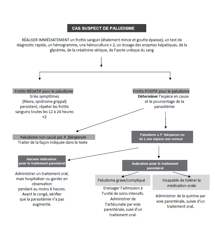 Cette image est un algorithme qui explique  le processus de prise en charge du paludisme