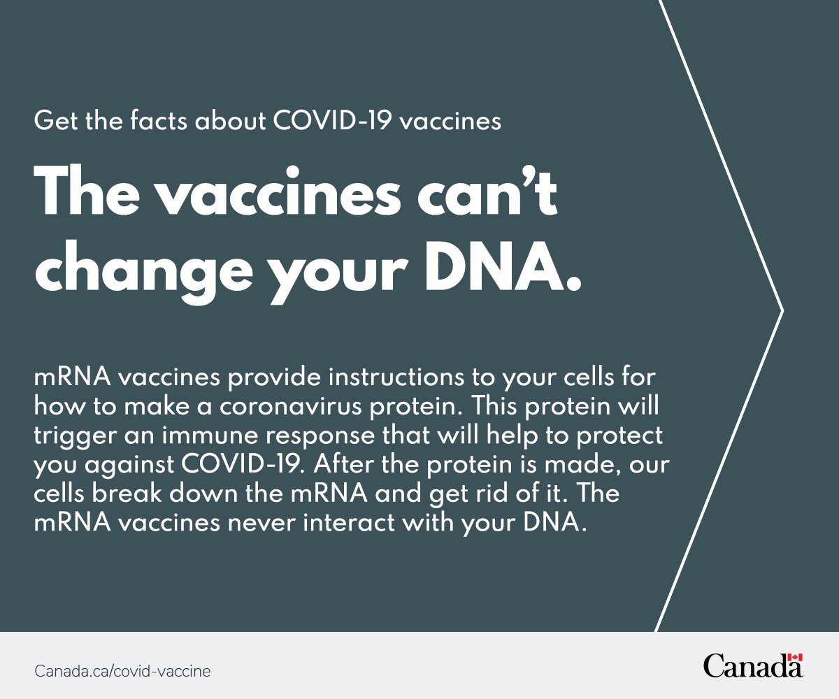 The vaccines can't change your DNA