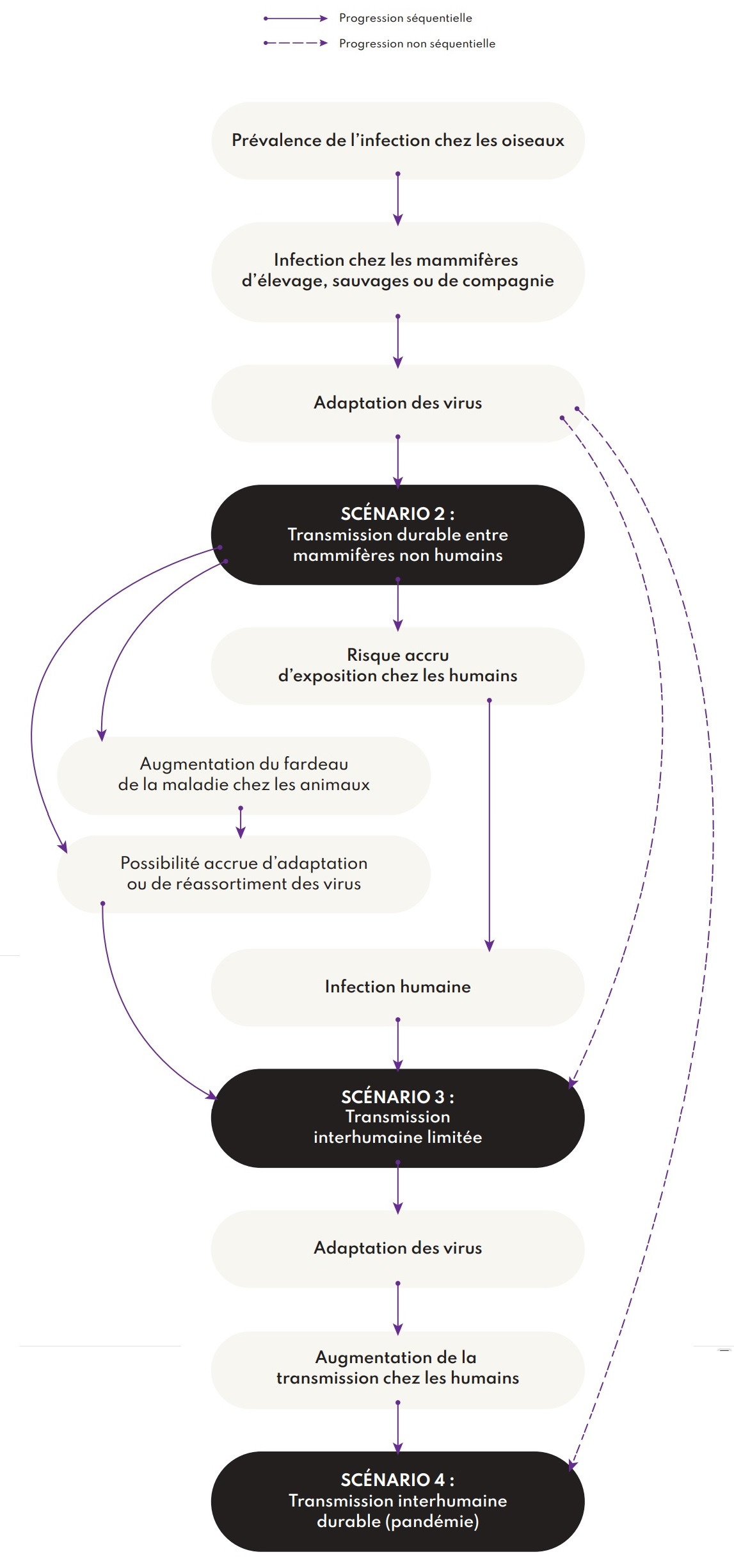 Figure 2. La version textuelle suit.