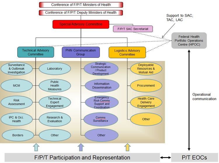 Figure 2. Governance Structure for a Coordinated F/P/T Response. Text description follows.