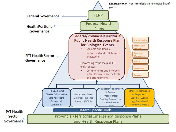 Figure 3. Relationship between F/P/T Plans. Text description follows.