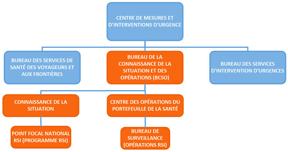 Figure 1 : Structure organisationnelle du point focal national RSI