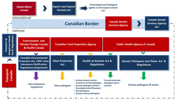 Figure 3: Oversight of pathogens, toxins and regulated plant pests in Canada