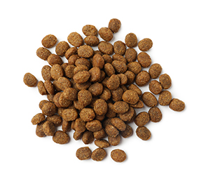 Nourriture pour chien