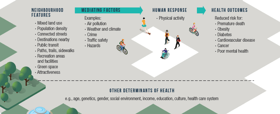 Figure 3: Overview of how the built environment influences physical activity to influence health. (Adapted from reference 72)