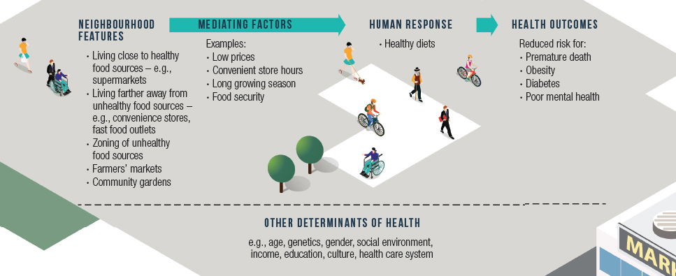 Figure  4: Overview of how the built environment influences diets to influence health. (Adapted from reference 72)