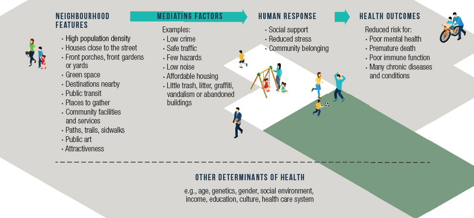 Figure 5: Overview  of how the built environment influences social support, stress and community  belonging to influence health. (Adapted from reference  72)