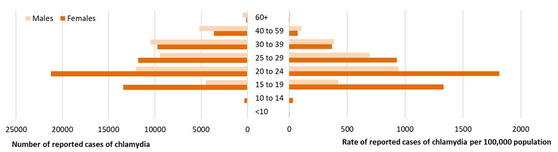 Figure 2. Text version below.