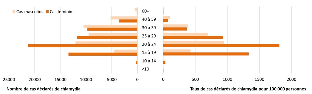 Figure 2. La version textuelle suit.