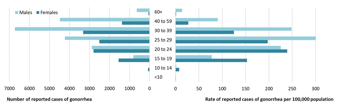 Figure 4. Text version below.