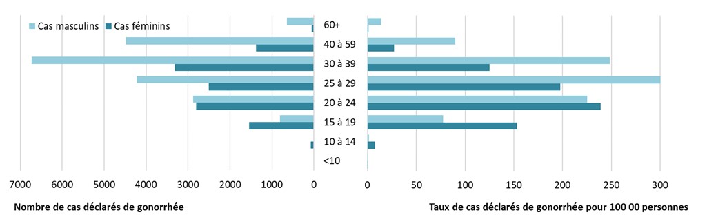 Figure 4. La version textuelle suit.