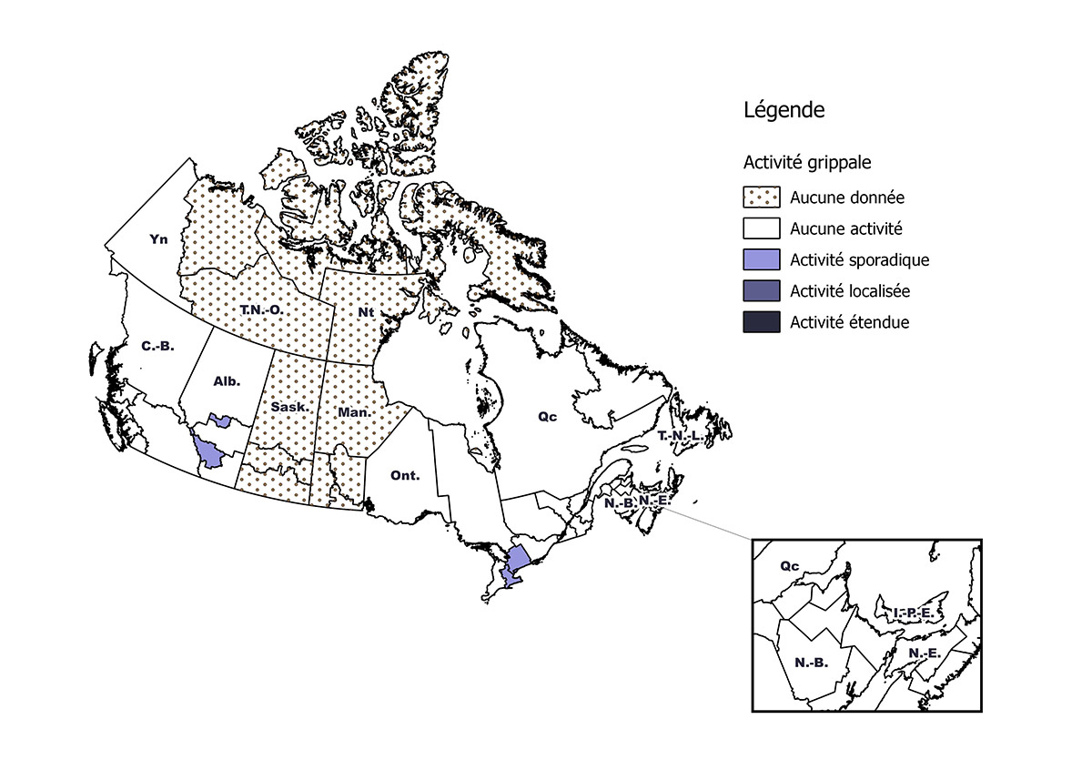 Figure 1. La version textuelle suit.