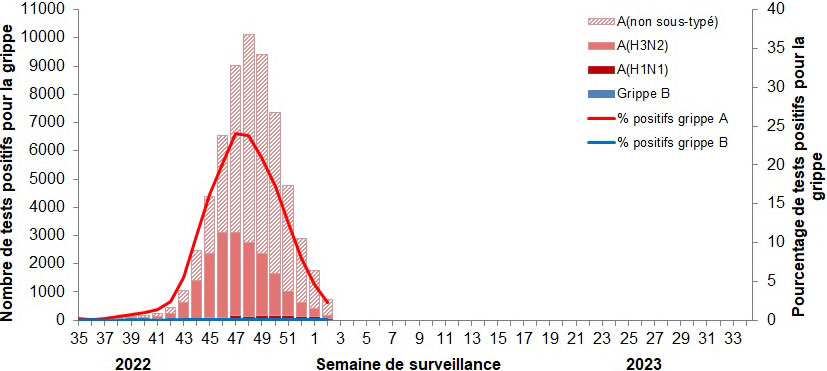 Figure 2. La version textuelle suit