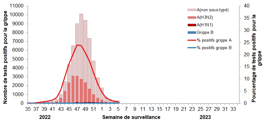 Figure 2. La version textuelle suit