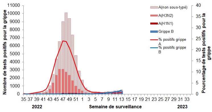 Figure 2. La version textuelle suit