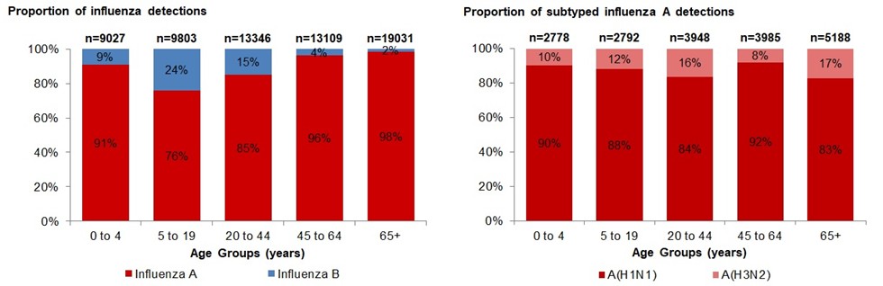 Figure 4. Text version below.