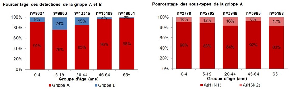 Figure 4. La version textuelle suit.