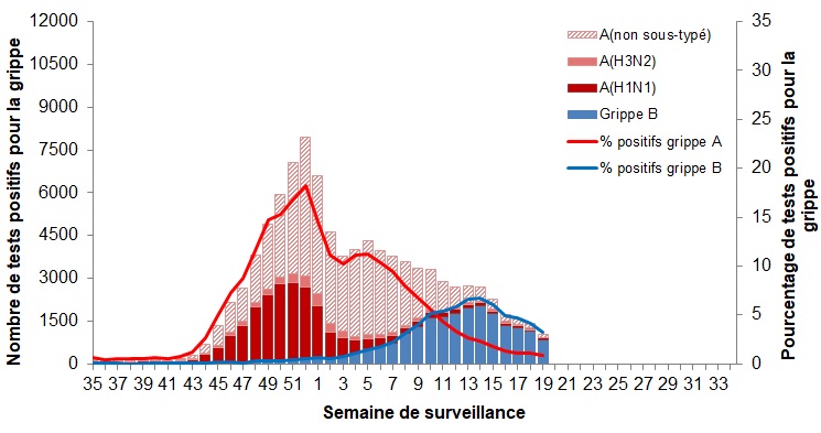 Figure 2. La version textuelle suit.