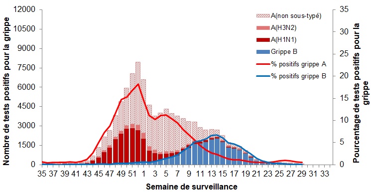 Figure 2. La version textuelle suit.
