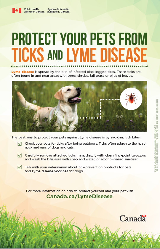Poster LYME Disease Tick Remover Tool Human Pet Outdoor Precise Instructions 