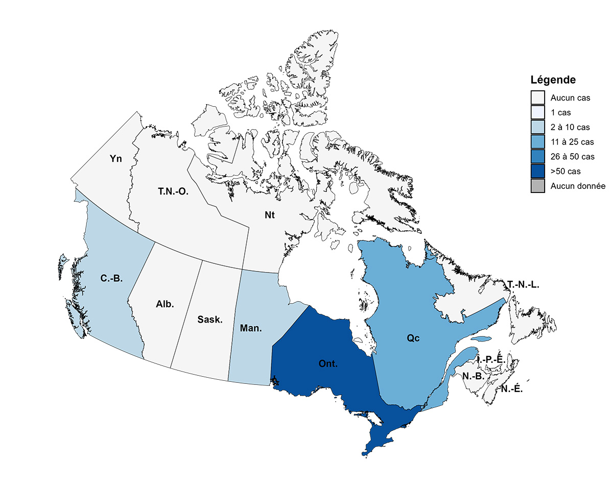 Figure 1. La version textuelle suit.