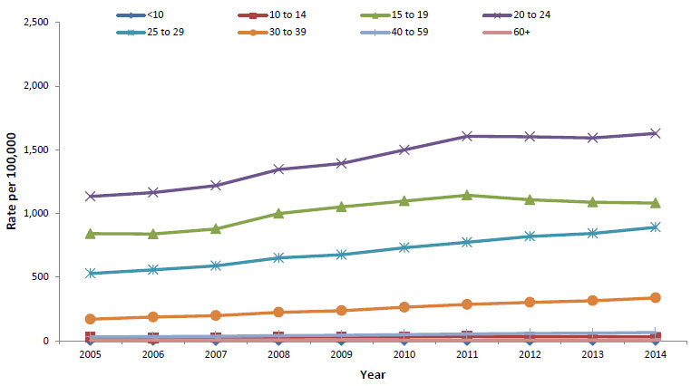 Std Fact Chart Se 38 Answers