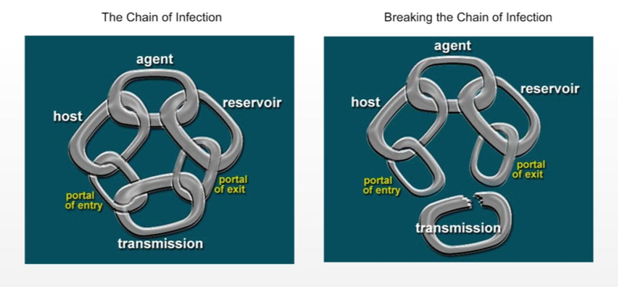 Figure 1a and 1b: Chain of infection. Text description follows.
