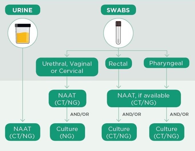 Canadian Guidelines On Sexually Transmitted Infections Summary Of