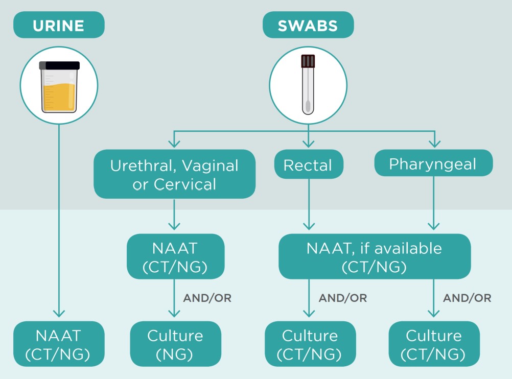 Figure 1. Text version below.