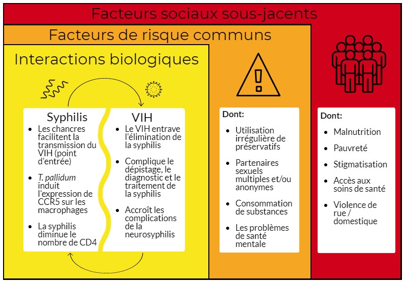 La médecine infantile Fluides de dosage de la dose pour bébé liquide oral  distributeur de médicaments seringue - Chine Seringue, seringue pour  administration orale