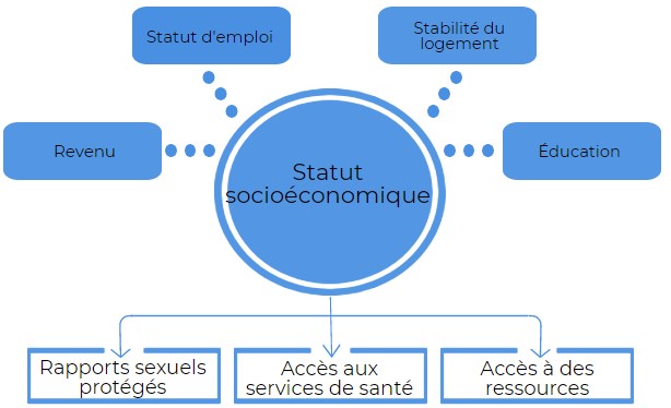 Les défis de trouver un équivalent au Viagra pour les femmes