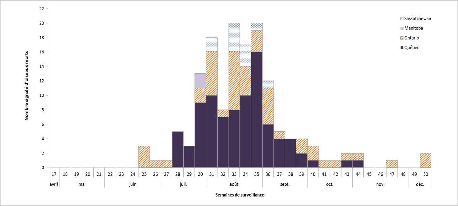 Figure 3 : Nombre d'oiseaux morts infectés par le virus du Nil occidental signalés au Canada, par semaine de surveillance, saison 2017