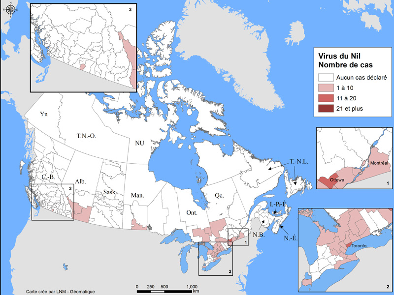 Équivalent textuel ci-dessous