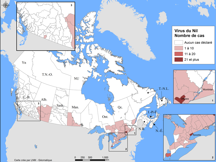 Équivalent textuel ci-dessous