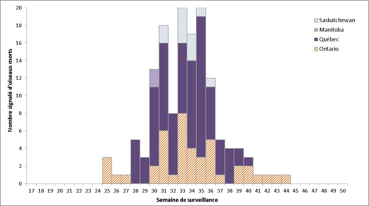 Équivalent textuel ci-dessous