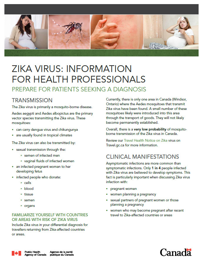 Zika virus Information for health professionals Canada.ca
