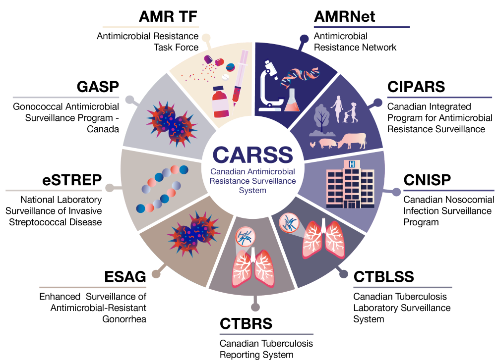 Figure 1. Text version below.