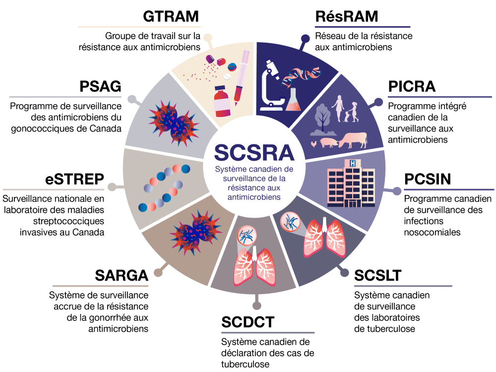 Figure 1. La version textuelle suit.