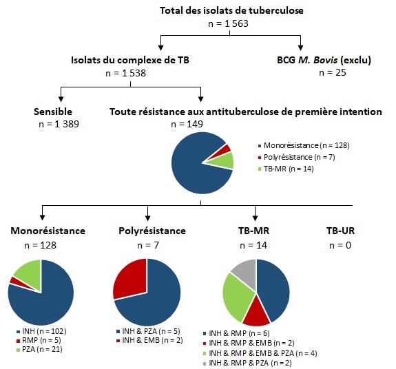 Figure 12. La version textuelle suit.