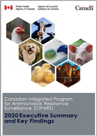 2020 Executive summary and key findings: Canadian Integrated Program for  Antimicrobial Resistance Surveillance 