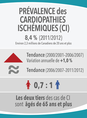 Image 8: Prévalence des cardiopathies ischémiques (CI)