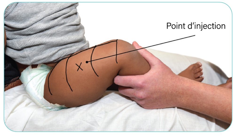 Figure 1. La version textuelle suit.