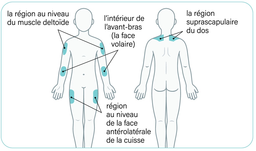 Figure 6. La version textuelle suit.