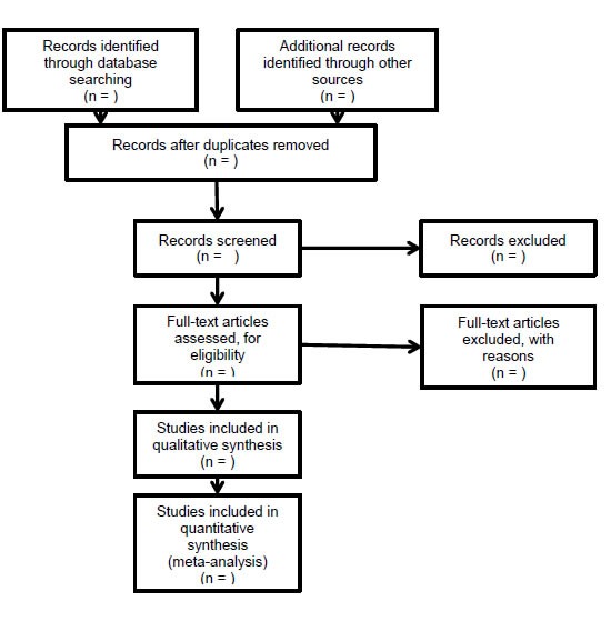 Prisma Flow Chart 2009